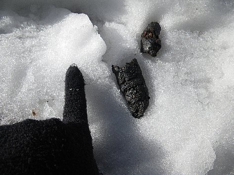 f0118332_1172529.jpg