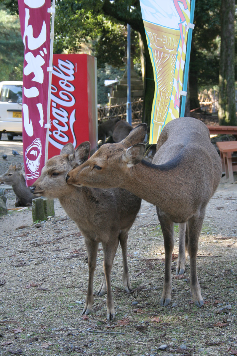 c0073633_2303453.jpg