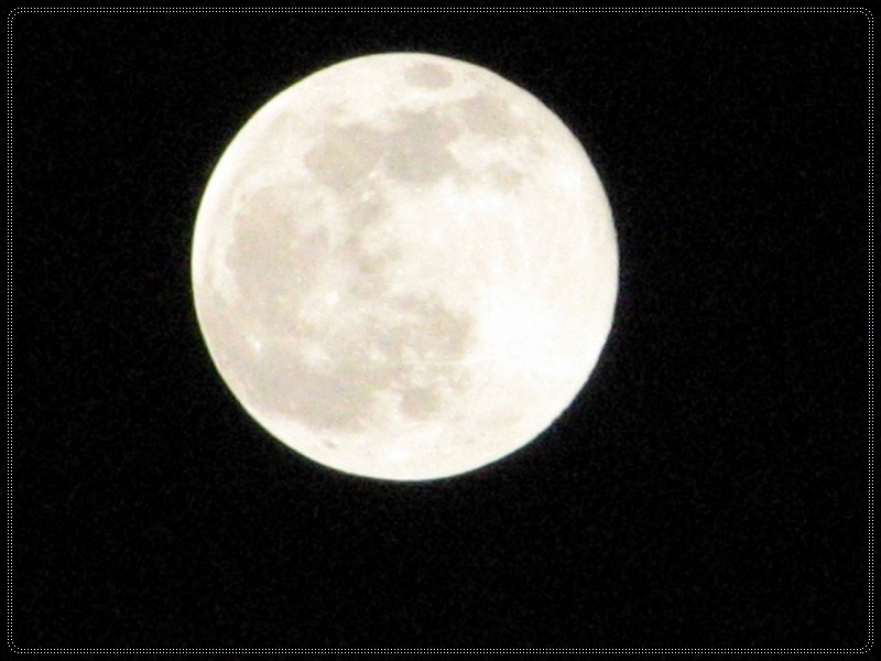 e0052135_22422961.jpg