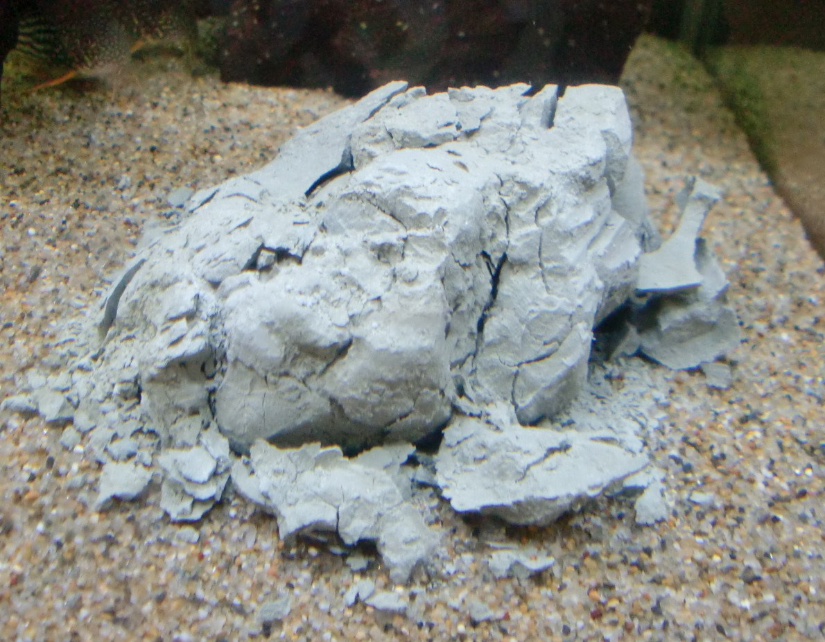 c0202937_15403019.jpg