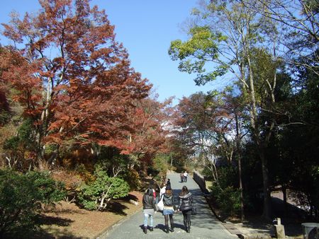 e0061437_22305728.jpg