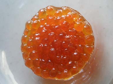 c0189142_15522644.jpg