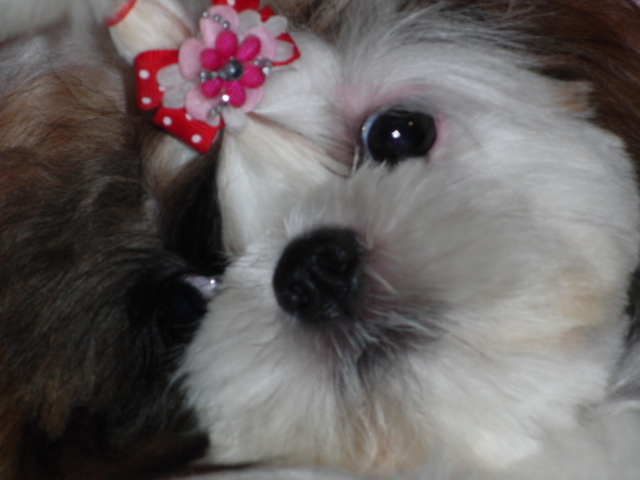 a0091448_22523689.jpg