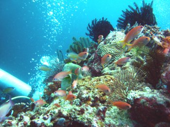 b0093050_13324333.jpg