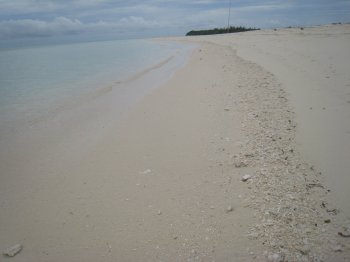 b0093050_13575457.jpg