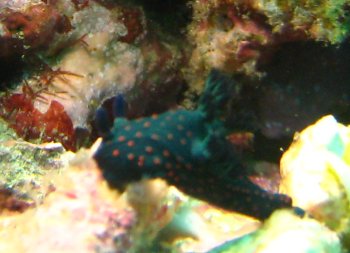 b0093050_147214.jpg