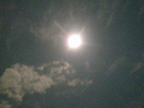 f0150151_2385762.jpg