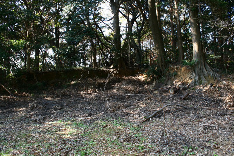 d0079764_15532227.jpg