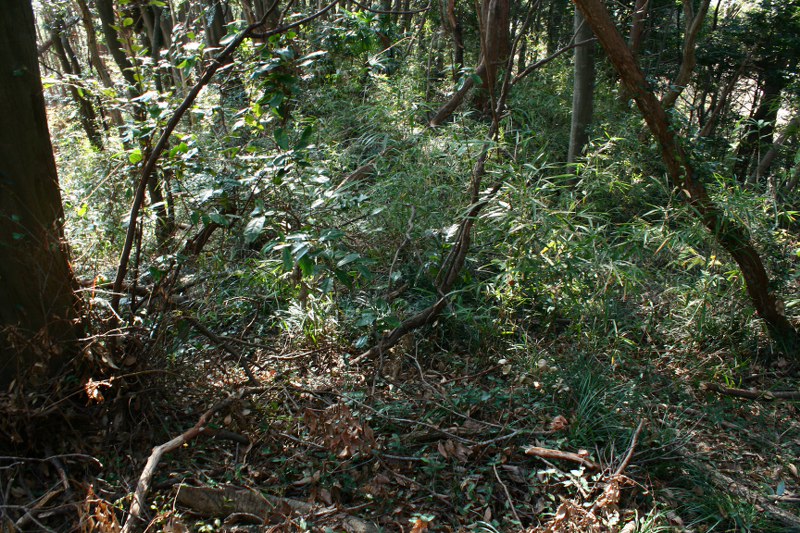 d0079764_15551591.jpg