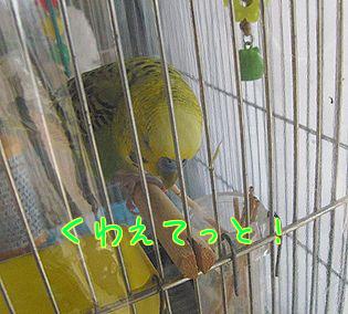 f0196665_038223.jpg