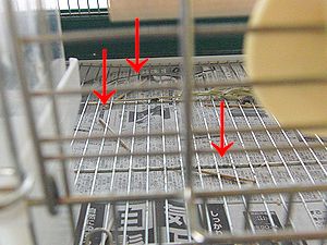 f0196665_057368.jpg