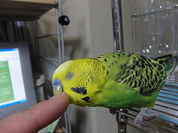 f0196665_10372.jpg