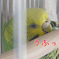 f0196665_2331760.jpg