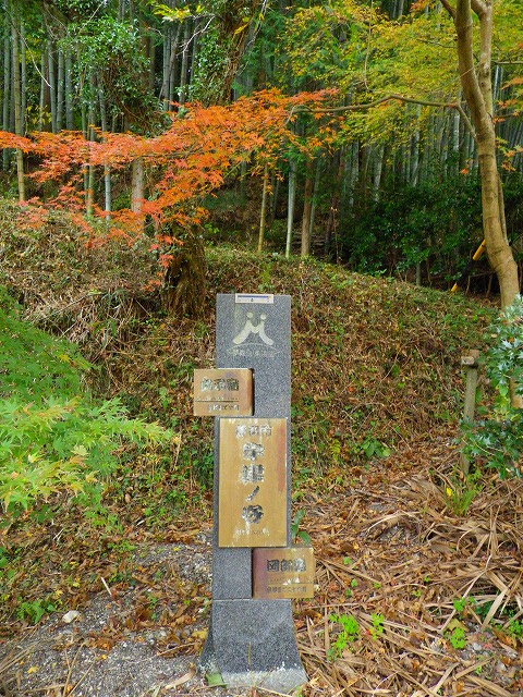 e0078069_20553335.jpg