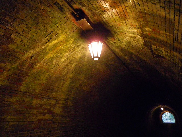 e0078069_2055454.jpg