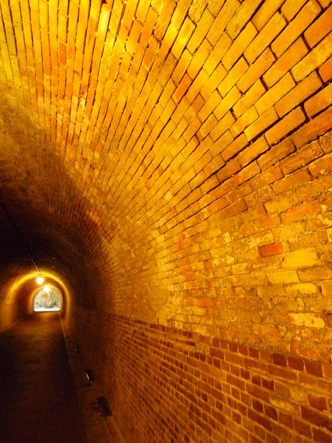 e0078069_20555177.jpg