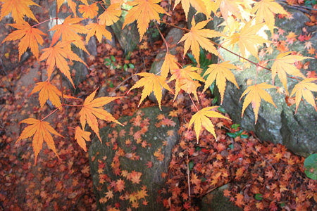 c0104371_1135929.jpg