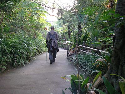 e0143671_14442010.jpg