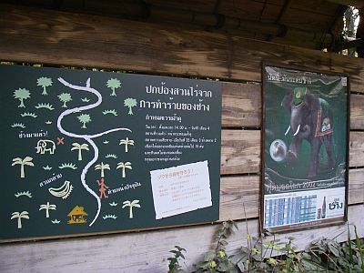 e0143671_14443592.jpg