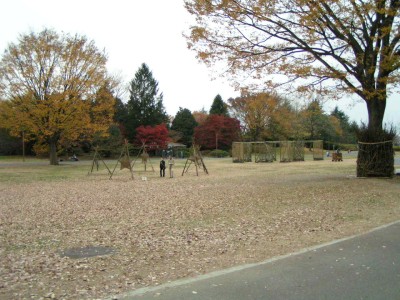 c0112172_211687.jpg