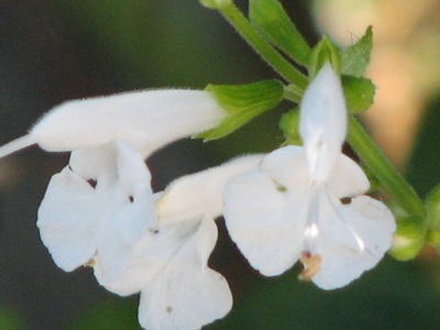 d0050472_16413739.jpg