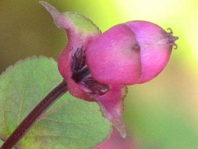 d0050472_16441067.jpg