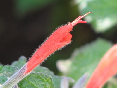 d0050472_16454756.jpg