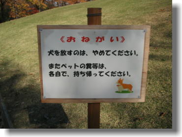 f0204072_22412613.jpg