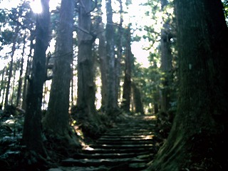 c0027181_20114883.jpg