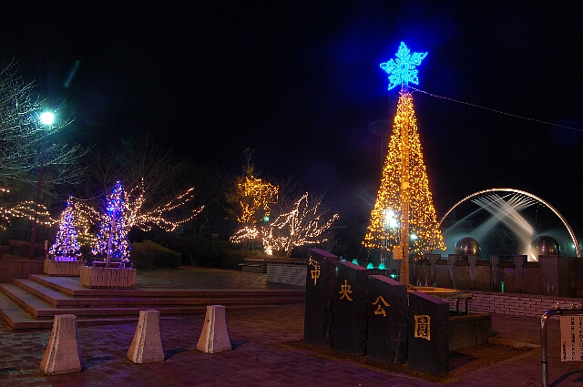 c0125283_1102650.jpg