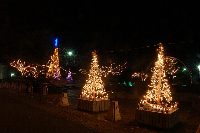c0125283_1131320.jpg
