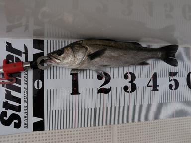 f0140384_2133261.jpg