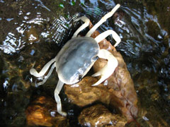 f0110488_22424543.jpg