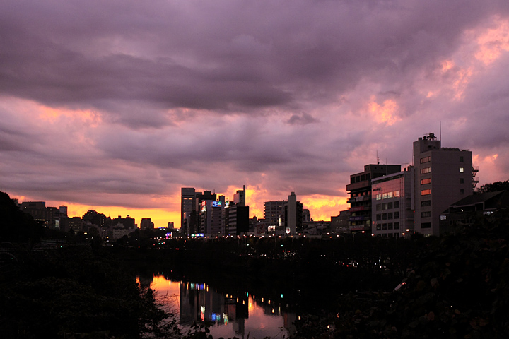 b0067789_20381445.jpg