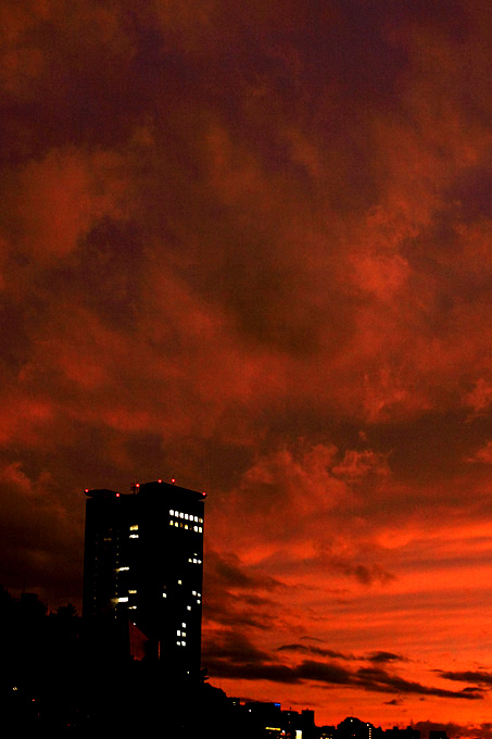 b0067789_20445553.jpg