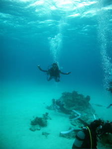 b0146490_14472497.jpg