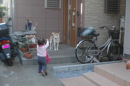 c0123890_15572079.jpg