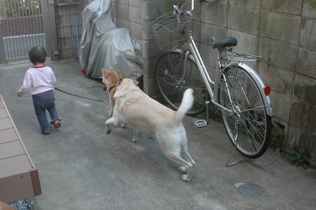 c0123890_1559672.jpg