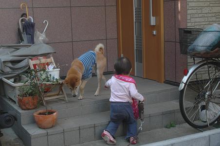 c0123890_1645570.jpg