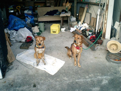 b0118191_20501267.jpg