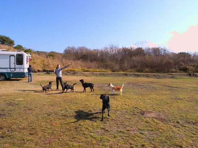 a0093592_013446.jpg