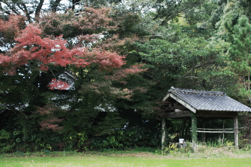 f0093592_2141083.jpg