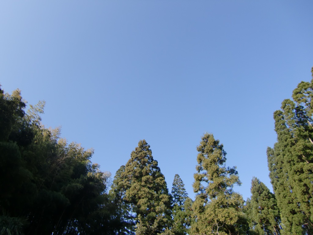 b0029694_1125619.jpg