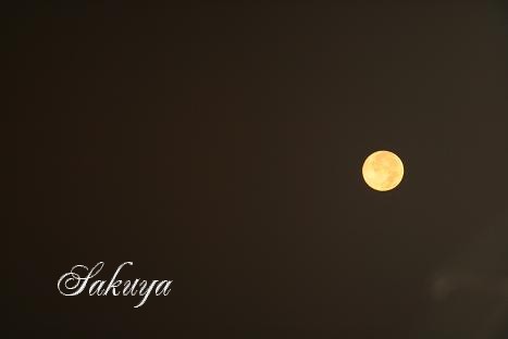 e0122194_13325634.jpg