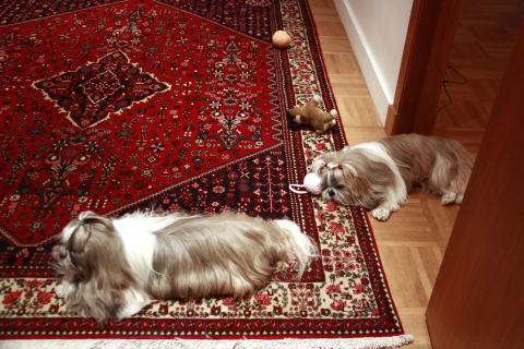 c0090198_411215.jpg