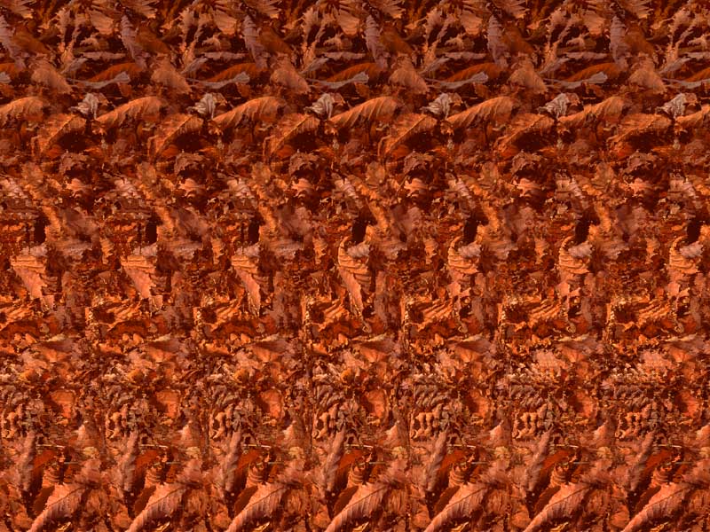 c0048701_2110173.jpg