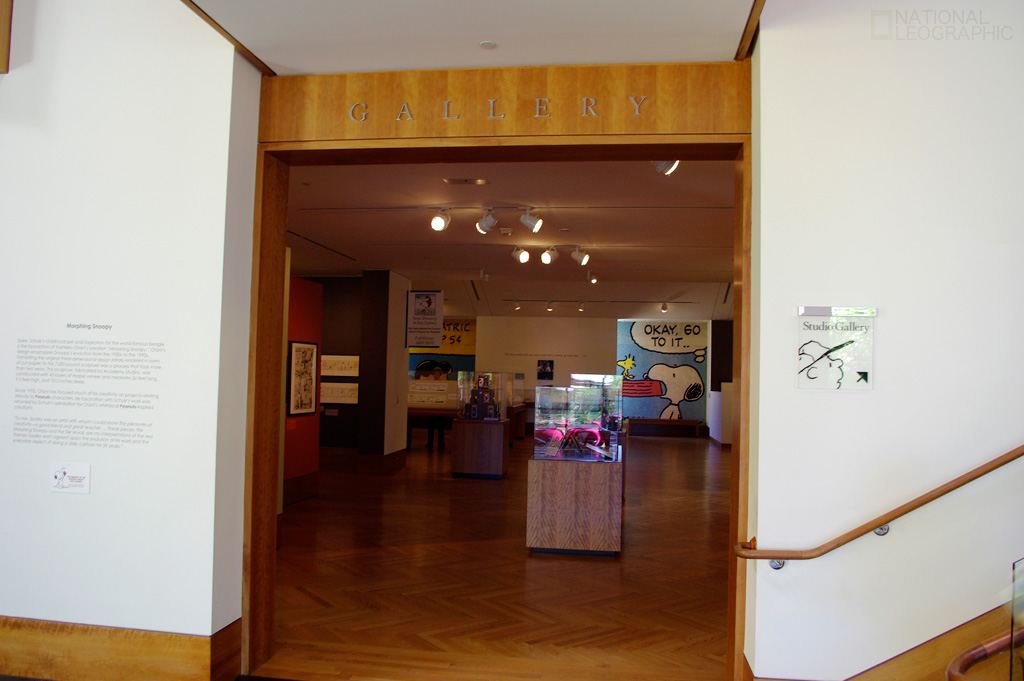 c0080101_1452875.jpg