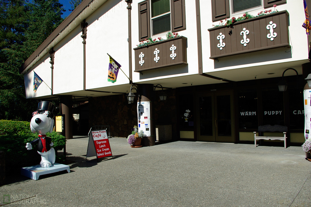c0080101_15163100.jpg