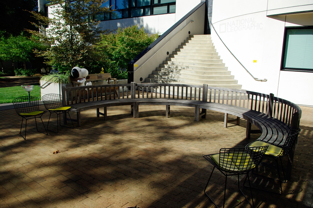c0080101_1571622.jpg