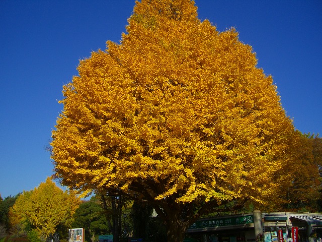 c0125702_183384.jpg